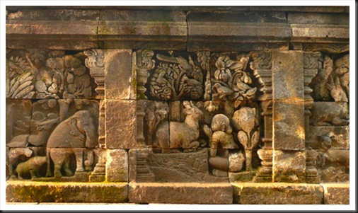 Borobudur (93)