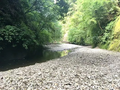 清和県民の森キャンプ場