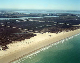 vista marismas de los toruños