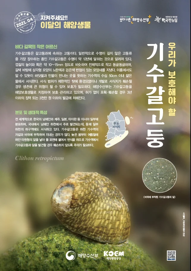 ▲ 2021년 4월 이달의 해양생물 포스터
