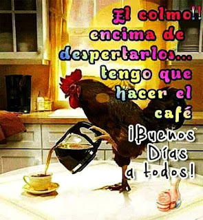 Gallo , colmo, despertarlos, hacer el café