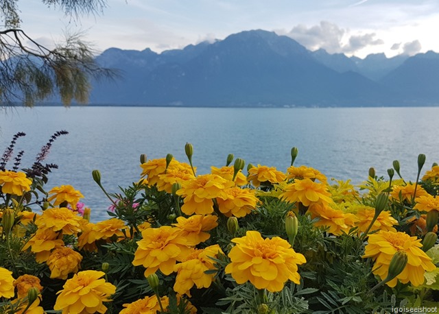 Montreux’s Lakeside Promenade Fleuri with views of Lake Geneva and distant mountains.