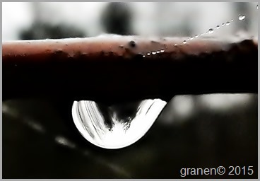 DSCN0651