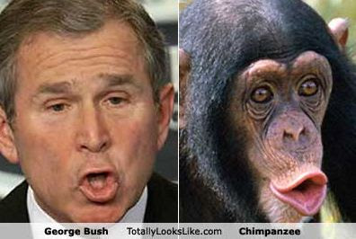 Separated at birth?