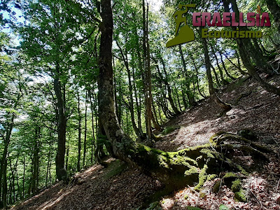 Trekking Picos de Europa