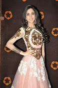 Kanika Kapoor glamorous photos-thumbnail-29