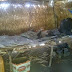 THIS IS SAD: How Boko Haram Rapéd 2 of the Girls Mercilessly