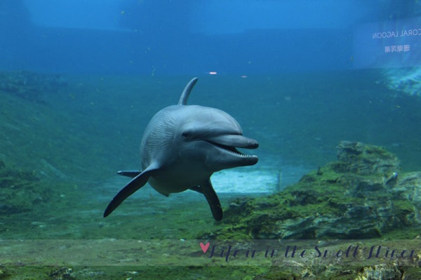 SEA14