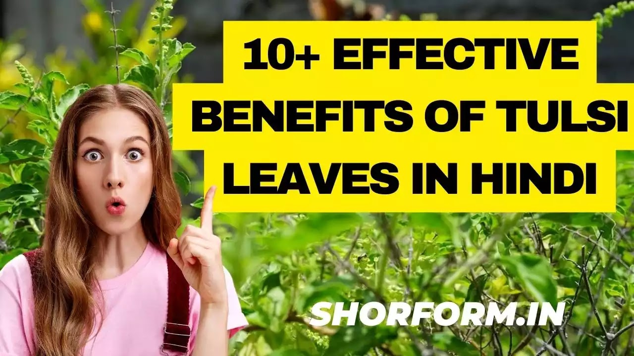 10+ Effective Benefits Of Tulsi Leaves In Hindi