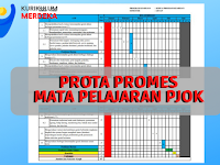 Program Tahunan dan Program Semester Mapel PJOK Kelas X Fase E Kurikulum Merdeka