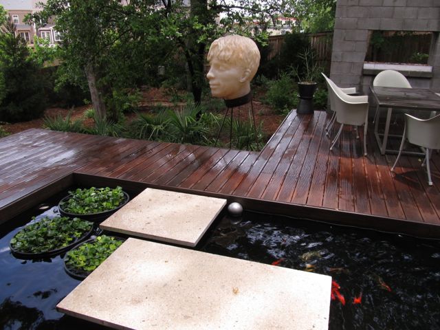 Fish Pool at Home