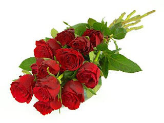 gambar mawar merah romantis