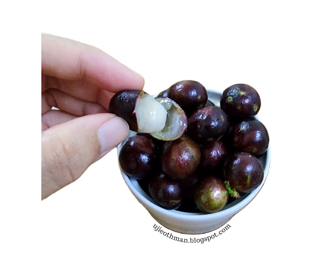 Buah Jabuticaba (Anggur Brazil)