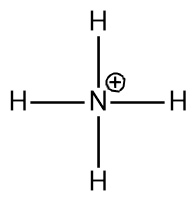 Lewis structure of NH4^+