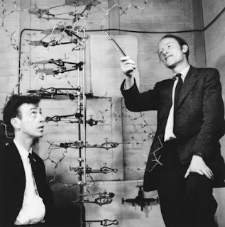 dna structure, watson and crick