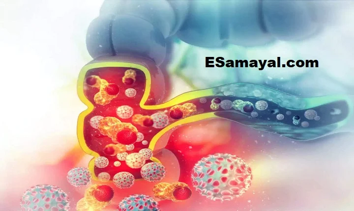 ராஜ்மாவின் மருத்துவ பயன்கள் மற்றும் நன்மைகள் என்ன?