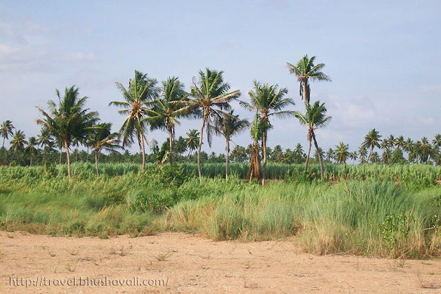 Crossing river Cauvery at Kodumudi