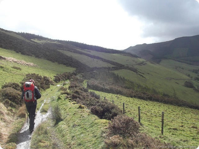Dawn on glyndwr's way