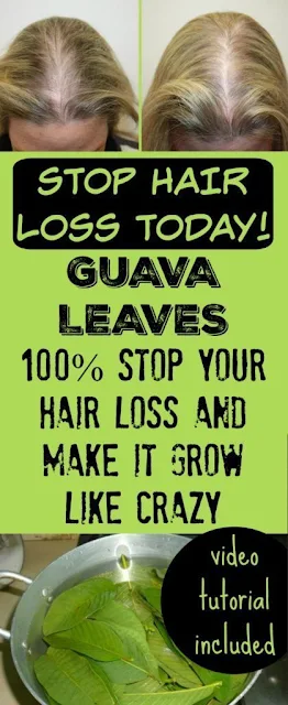 Guava Leaves Can Extremely 100% Stop Your Hair Loss & Hair Grow Like Crazy
