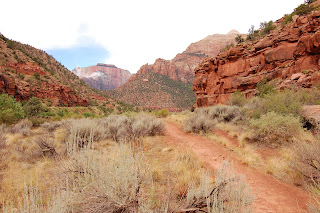 Zion View 1