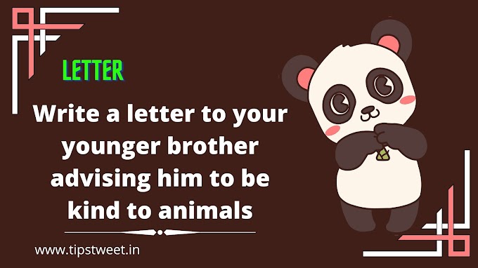 Write a letter to your younger brother advising him to be kind to animals for school students