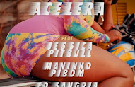 DJ Malvado - Acelera (feat Jessica Pitbull, Mininho Pibom & Ed Sangria)