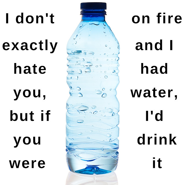 I don't exactly hate you, but if you were on fire, and I had water, I'd drink it