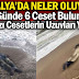 Antalya'da 5 günde 6 ceset bulundu: Uzuv kayıpları endişelendiriyor