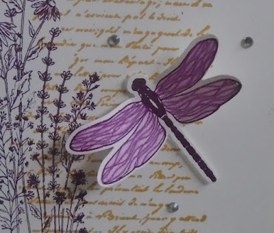 Craftyduckydoodah, Dragonfly Garden, Stampin' Up,