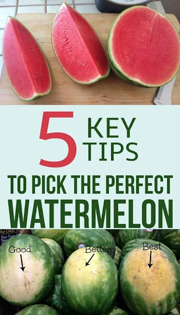 How To Pick The Perfect Watermelon 5 Key Tips From An Experienced Farmer