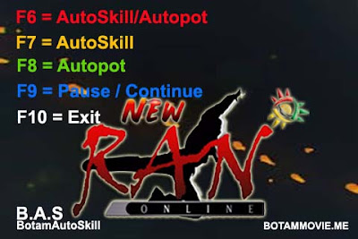 Auto Skill Ranonline