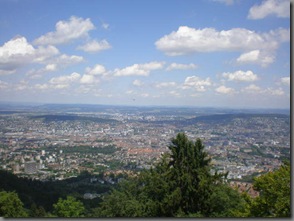 P6100134