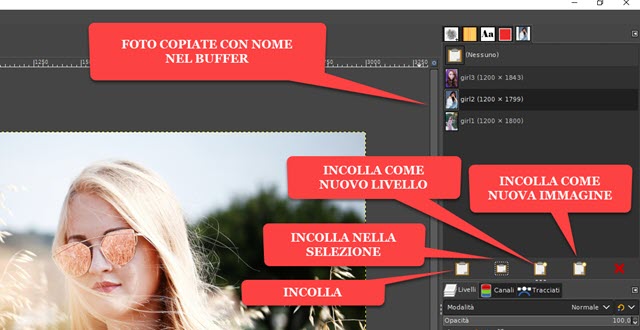 opzioni del buffer con GIMP