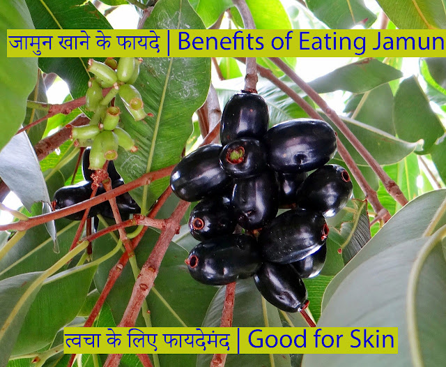 Benefits of Eating Jamun