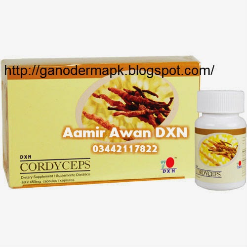 DXN Cordyceps 