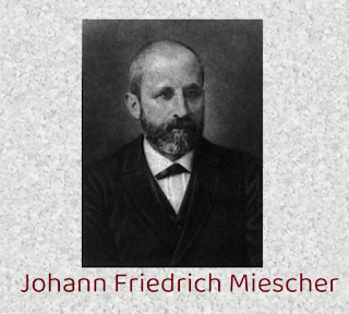 Image of Johann Friedrich Miescher.