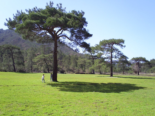 marmaris asparan