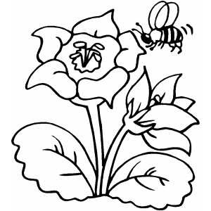 flower coloring pages