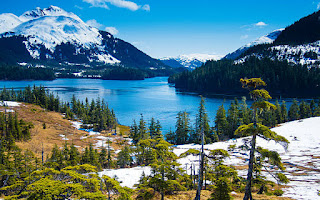 Top 17 Interesting Facts about Alaska Tourism