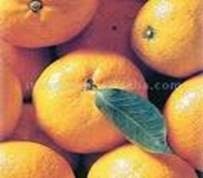 clip_image009