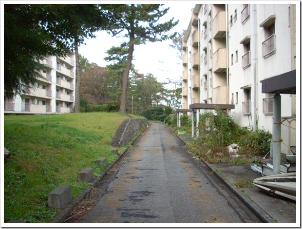 20111112_160521