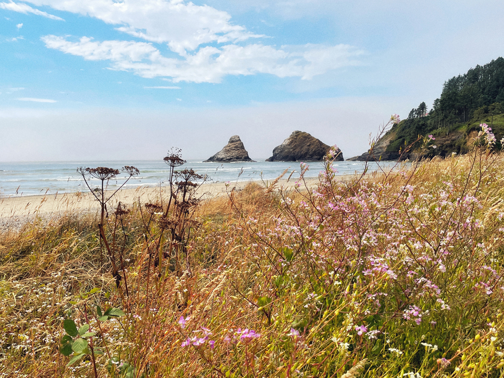 Photograph taken near the Heceta Head Lighthouse trails on the Oregon coast