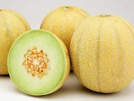 MANFAAT DAN KHASIAT DARI BUAH MELON  UNTUK KULIT DAN GINJAL 