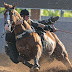 Cavalo Inquestionável leva Monte Sião Haras à liderança no maior campeonato de vaquejada do Brasil
