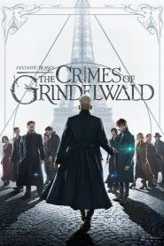 Fantastic Beasts The Crimes of Grindelwald 2018 Movie Download