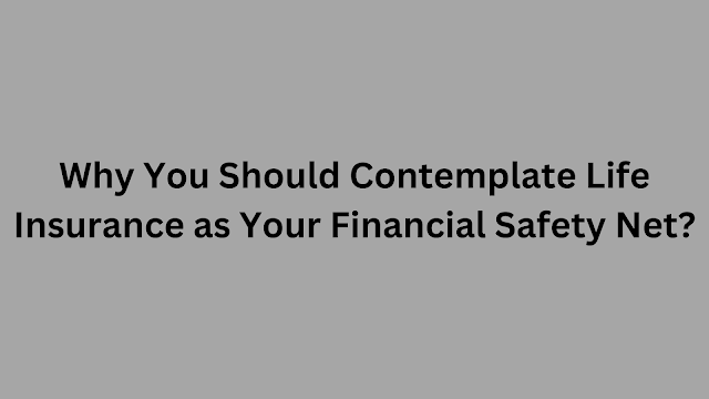 Why You Should Contemplate Life Insurance as Your Financial Safety Net?