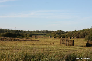 hay field in cold lake at sunset