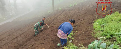 Dorong Swasembada Pangan Melalui Pendampingan Pertanian di Desa Wonokitri