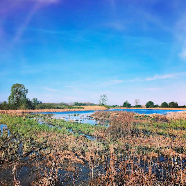 Rijnstrangen, Oud-Zevenaar