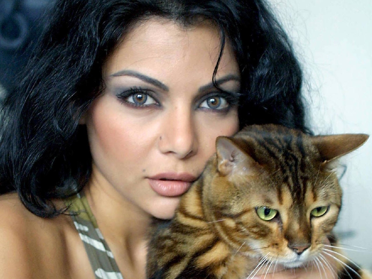 HD New Wallpapers: Hot Actress HD Wallpapers For Mac With Cat